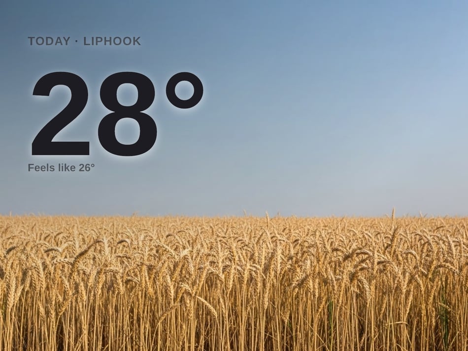 Liphook: sunny day, high of 28°C