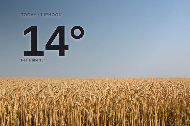 Liphook weather: sunny Friday with little chance of rain and a high of 14°C